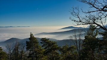 Blick in die Vogesen von Tanja Voigt