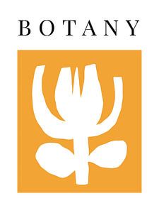Botany Yellow
