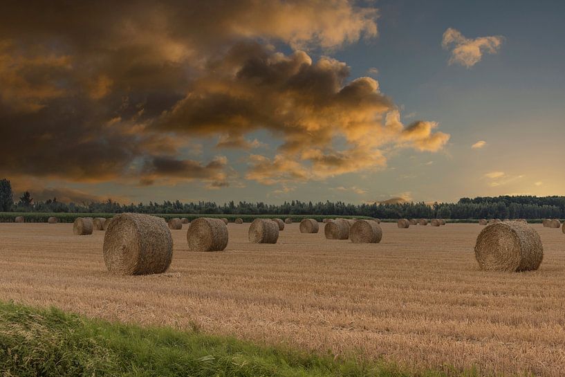 Strohrollen im Abendlicht von Ans Bastiaanssen