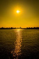 Yellow Rotterdam