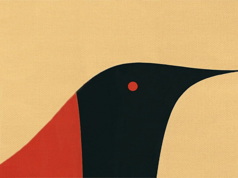 Oiseau par Fernando Vieira