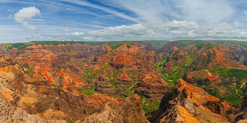Panorama uitzicht over Waimea Canyon