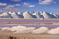 Salt pans Bonaire by Nicole Jagerman thumbnail