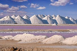 Salt pans Bonaire by Nicole Jagerman