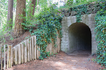 Mystery in Heidestein