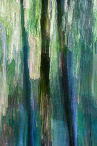 Door de bomen...I