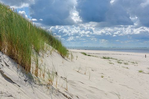 Ameland: Uitzicht op zee vanaf duin overgang met dreigende lucht