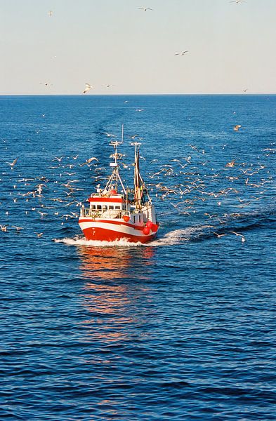 Fishing boat with flying escort by Bowspirit Maregraphy