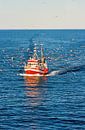 Fishing boat with flying escort by Bowspirit Maregraphy thumbnail