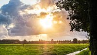 Sonnenuntergang über dem Polder