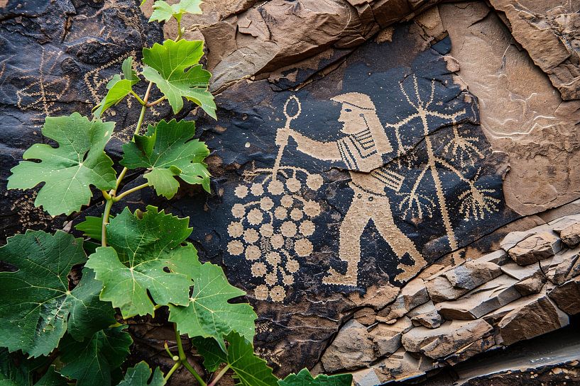 Classic Grape Harvest by Art & Soul Creations