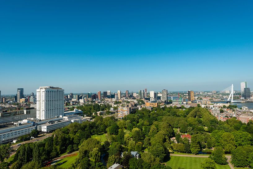 Erasmusbrug Rotterdam in Panorama foto. by Brian Morgan