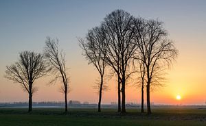 Sunset during a cold winter day in the IJsseldelta region