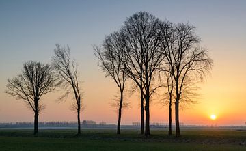 Coucher de soleil lors d'une froide journée d'hiver dans la région de l'IJsseldelta sur Sjoerd van der Wal Photographie