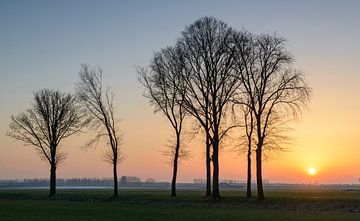 Zonsondergang tijdens een koude winterdag in de IJsseldelta