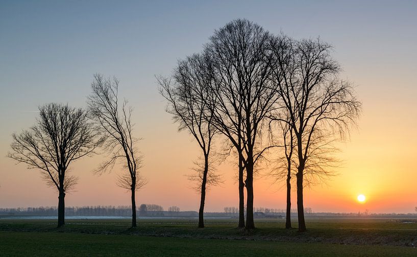 Sunset during a cold winter day in the IJsseldelta region by Sjoerd van der Wal Photography