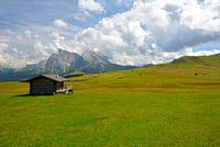 seiser alm