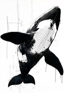 Black and white whale #whale
