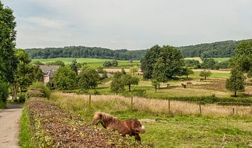 Uitzicht op Limburgs Landschap in de buurt van Epen van John Kreukniet