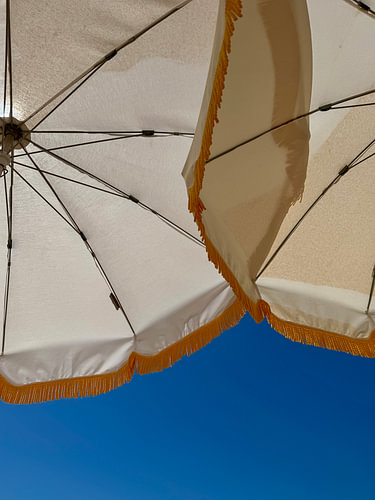 Der Sommer in Blau und Gold