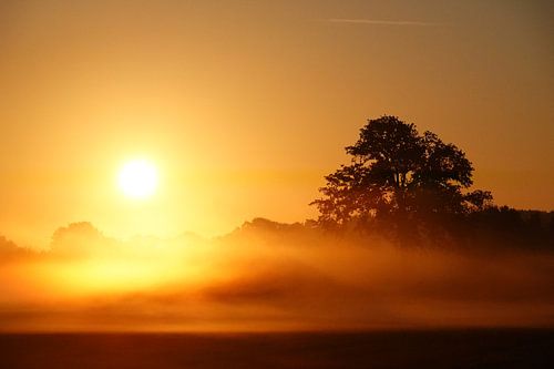 Sonnenaufgang mit Nebel und Dampf; Tau über den Bergkämmen