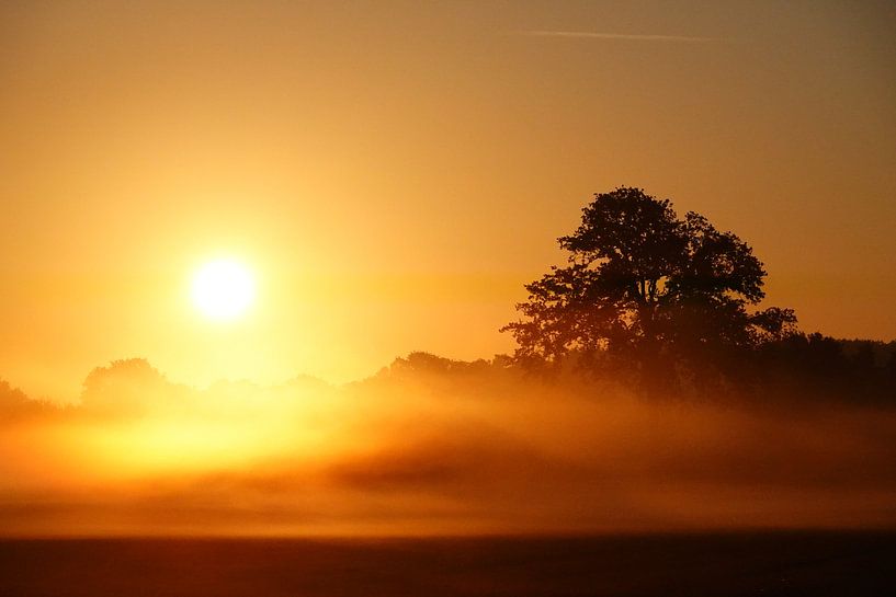 Sunrise with mist &amp; vapour; dew above the crests by Stefan Peys