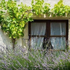 Französisches Fenster mit Weinrebe und Lavendel von Blond Beeld