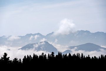 Uitzicht op de bergen en bomen in de Franse Alpen van Mickéle Godderis