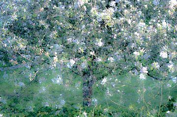 Baum voller Blüte von Lucia Kerstens