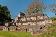 Guatemala: Tikal (Yax Mutal) van Maarten Verhees thumbnail