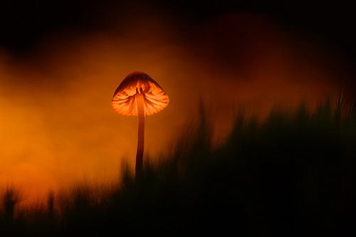Sentiments d'automne