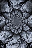 Infinite