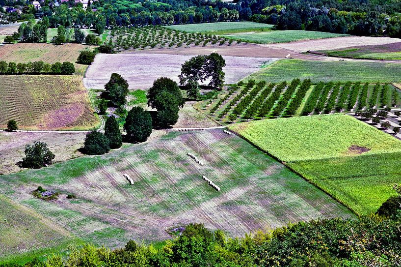 Sommerliche Getreidefelder im Tal der Dordogne (Périgord) von Silva Wischeropp