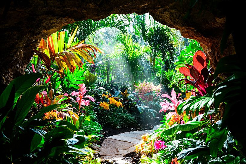 Kleurrijke tropische tuin in zonlicht van Art & Soul Creations