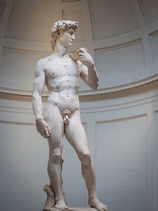 David