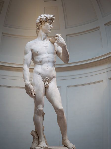 David by Caatje Clicks