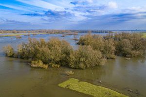 Die IJssel mit hohem Wasserstand in den Auen