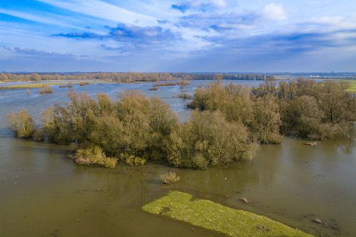 De IJssel met hoge waterstanden in de uiterwaarden