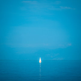 Segelboot im Bodensee von Dieter Walther