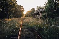 Overgrown train track at sunset by Imperial Art House thumbnail
