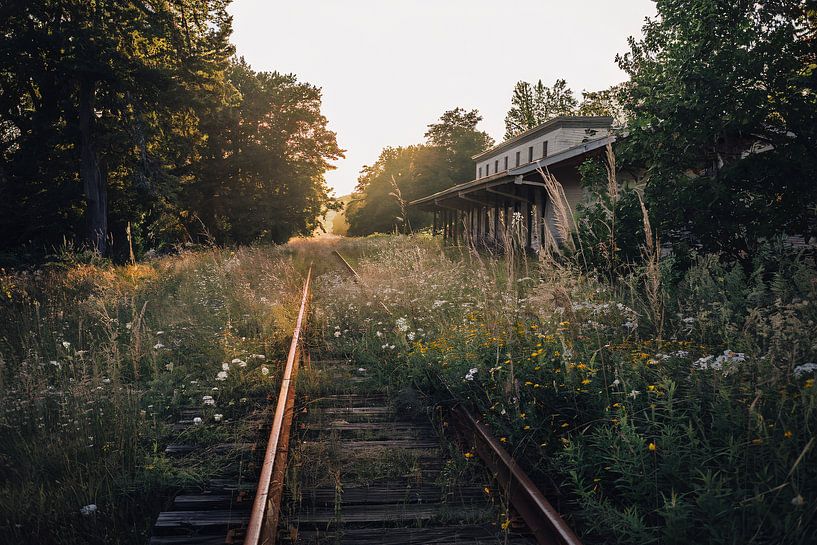 Overgrown train track at sunset by Imperial Art House