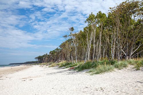 Darß - Weststrand, Oostzee (Mecklenburg-Vorpommern)