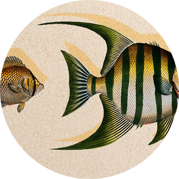 Fishy Fish van Gisela- Art for You