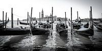 Gondolas in Venice