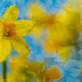 Artistic flower mix with yellow daffodils by Lisette Rijkers