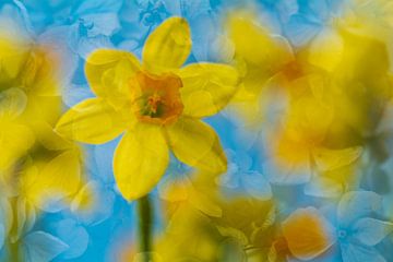 Mélange artistique de fleurs avec des jonquilles jaunes sur Lisette Rijkers
