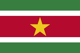Flag of Suriname von de-nue-pic