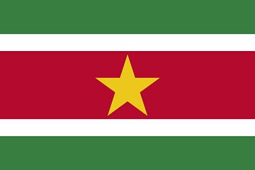Drapeau du Suriname sur de-nue-pic