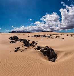 Parque Natural Corralejo Fuerteventura Kanarische Inseln, Spanien von Rene van der Meer
