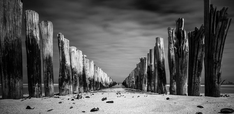 Zeeuwse kust by Lia Lavoir